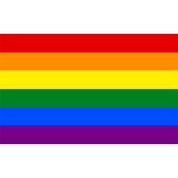 Drapeau LGBTQIA+