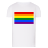 Drapeau LGBTQIA+