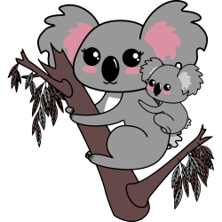 Koala